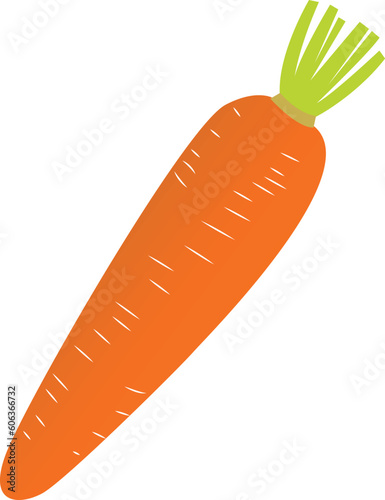 Vegetables carrot vector icon. Carrot icon isolated on transparent background. photo