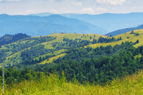 rolling hills, green fields, and majestic mountains. beauty of carpathian rural landscape © Pellinni