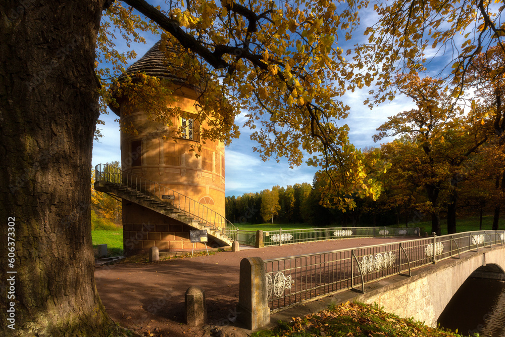 An autumn park on a sunny day with yellow leaves on trees and lawns An autumn park on a sunny day with yellow leaves on trees and lawns