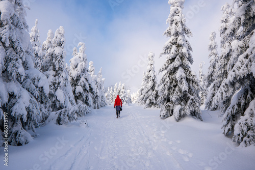 Woman hiker enjoying winter landscape view on snowy mountain. Back of blonde female on the hiking