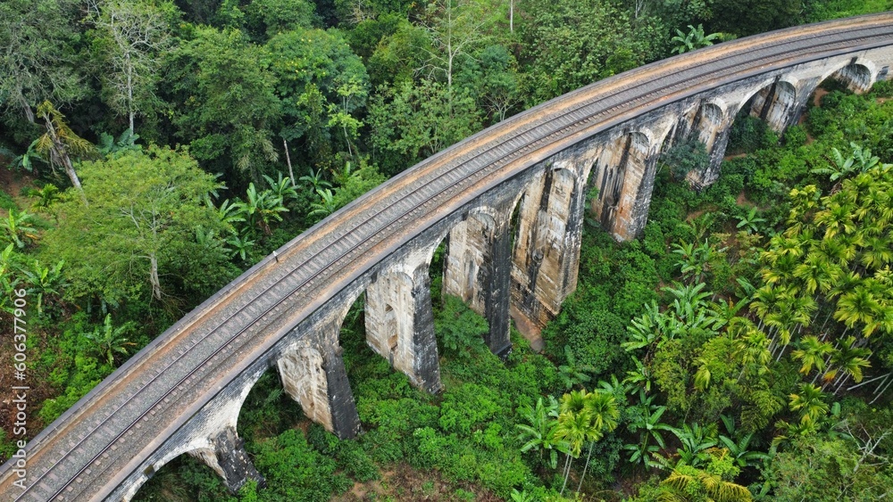 railway bridge in the forest railway bridge in the forest