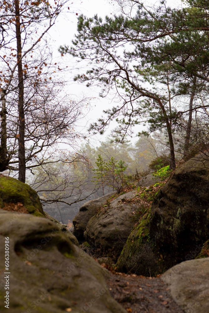 View from Rauenstein mountain in Saxon Switzerland. Germany. Europe View from Rauenstein mountain in Saxon Switzerland. Germany. Europe