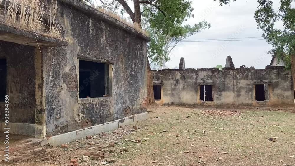 Black buffalo in Goshala - protective shelters for cows in the Village of Jharkhand, India.