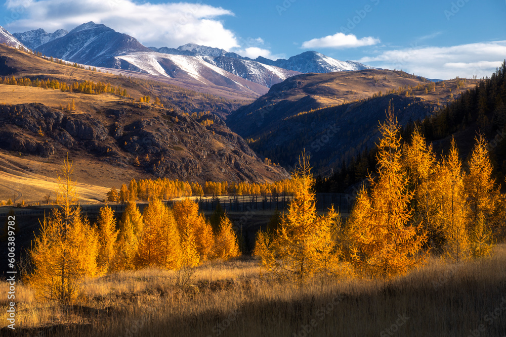 Autumn landscape with views of mountains, forest, road, steppe, river, lake, yellow leaves and trees
