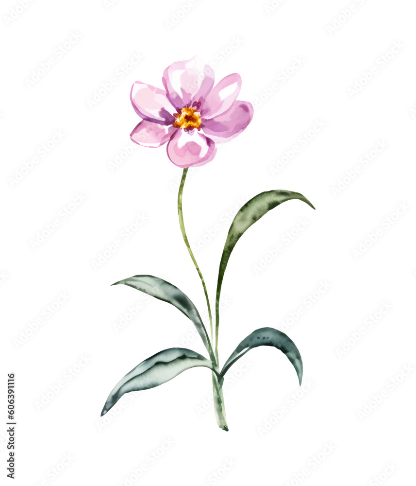 Pink flower. Watercolor floral illustration. Floral decorative element. Vector floral wildflower on white background.