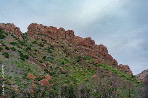 Aerial view of mountain landscape with trees