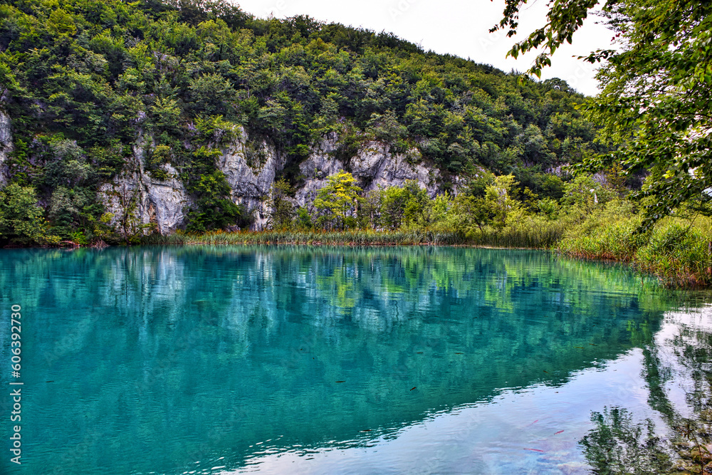 Scenic view of reflective Plitvice lakes surrounded by mountain forests in Croatia