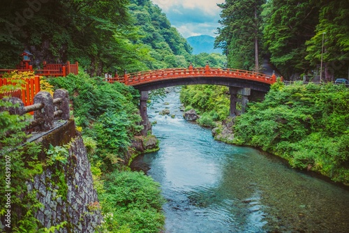 Scenic view of the Shinkyo bridge surrounded by trees and vegetation photo