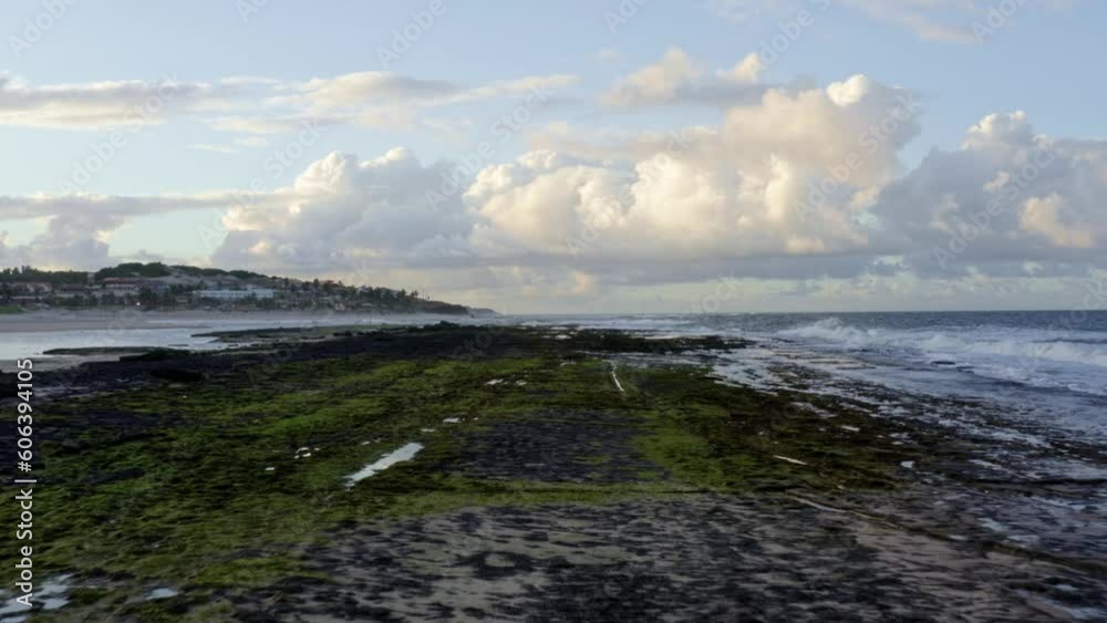 Dolly in aerial drone wide landscape shot of exposed rocks covered in seaweed during low tide on the tropical Sibauma beach in Tibau do Sul, Brazil in Rio Grande do Norte during a warm summer evening Dolly in aerial drone wide landscape shot of exposed rocks covered in seaweed during low tide on the tropical Sibauma beach in Tibau do Sul, Brazil in Rio Grande do Norte during a warm summer evening