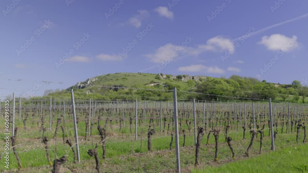 Timelapse of rolling clouds during sunny day over Pálava vineyards in South Moravia. Slow movement