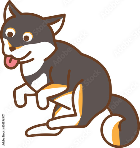 East Siberian Laika
