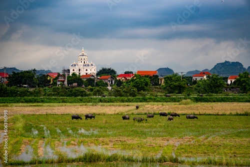 Vietnam Landscapes