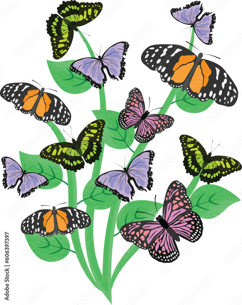 Fotografie butterflies and leaves vector image or illustration