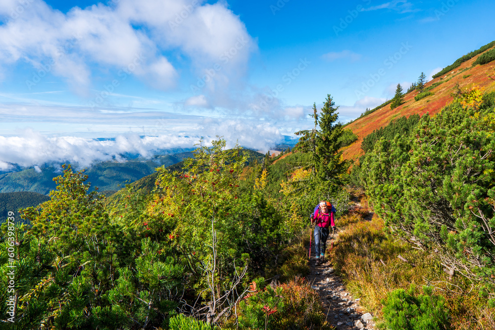 Hiker with backpacks enjoying valley view from top of a mountain