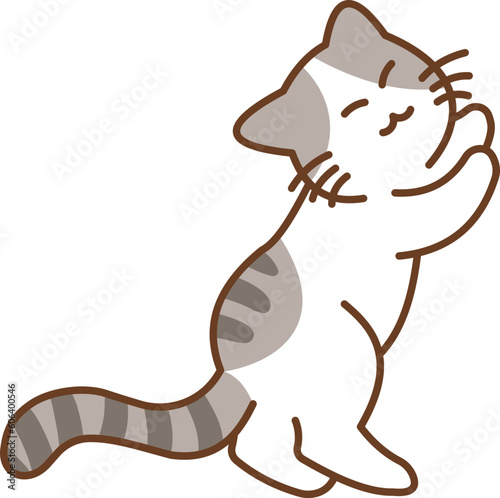 Cat Scratching