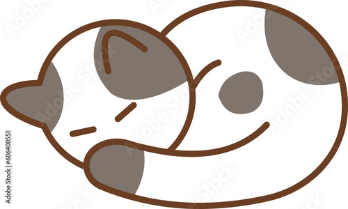 Cat Sleeping