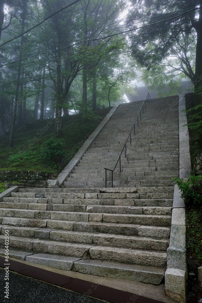 Beautiful view of stairs in the park in a foggy weather