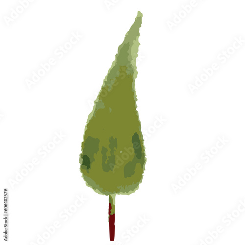 midium green pine tree photo