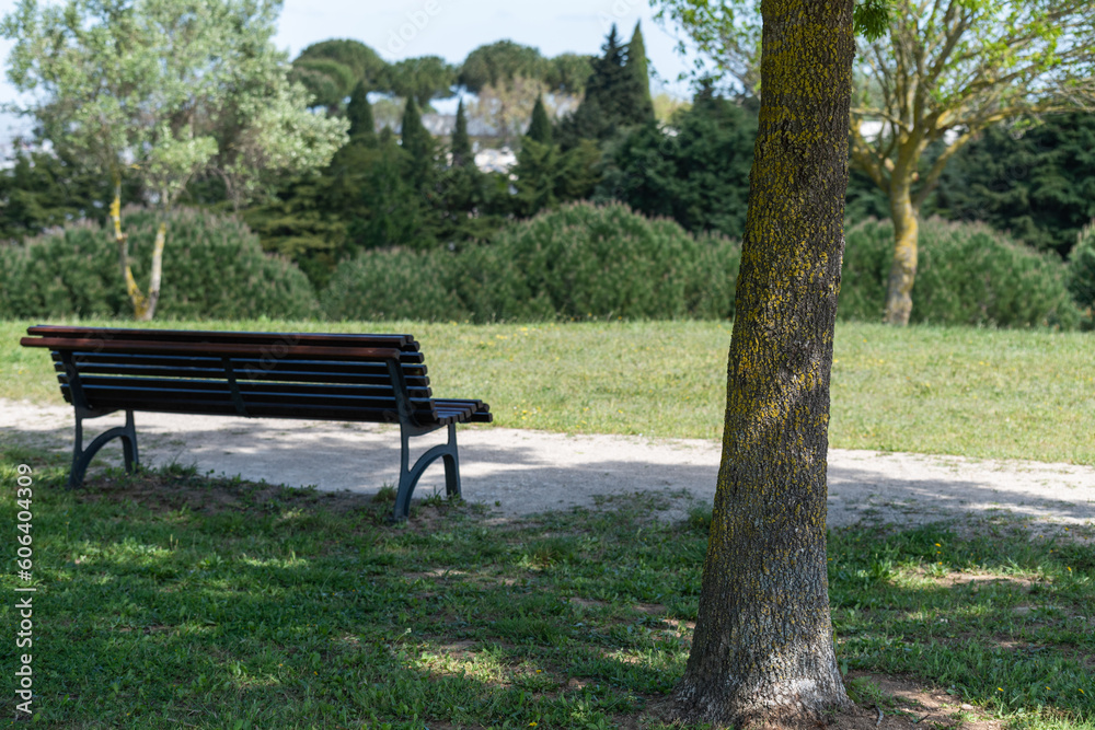 Wooden bench on the path with a background of different trees in Santa Iria d'Azoia Urban Park