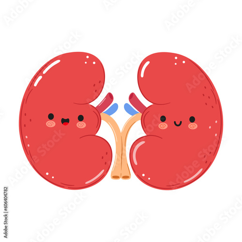 Kidneys organ character. Vector hand drawn cartoon kawaii character illustration icon. Isolated on white background. Kidneys character concept