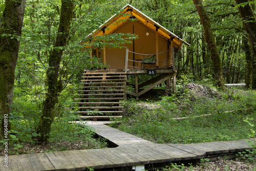 glamping in the green forest, camping in a tent