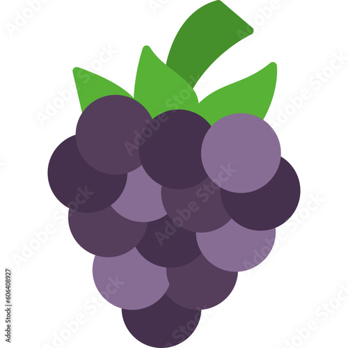 Blackberry Icon
