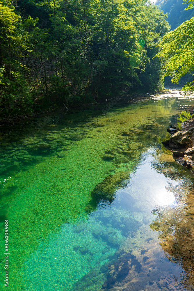 Fototapeta premium Narrow wooden footbridge in the misty Vintgar gorge. Beautiful scenery with mountain river in the deep gorge, Bled, Slovenia, Europe