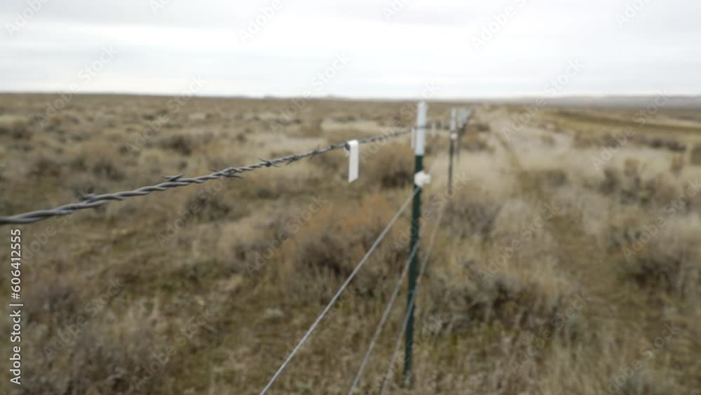 Walking along barbed wire and electric ranch fence with conservation flags Walking along barbed wire and electric ranch fence with conservation flags