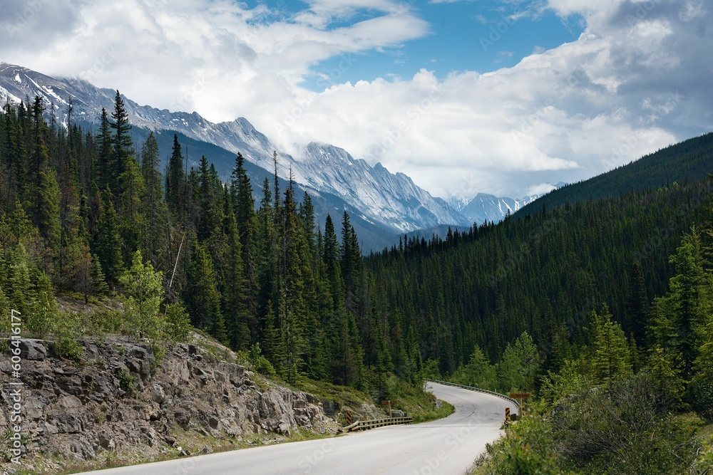 Empty road the surrounded by the dense forest and snowy mountains in Jasper National Park