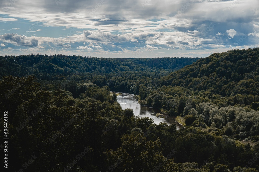 Beautiful landscape of the calm river passing through the dense green forest during the daytime