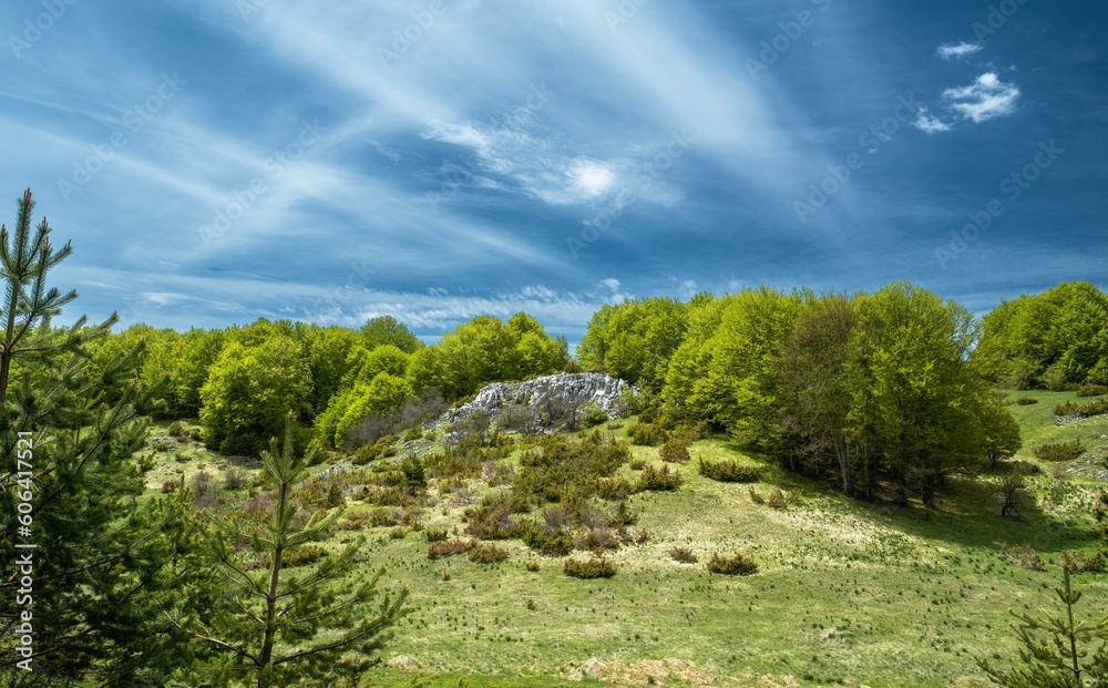 Landscape with field and trees against a blue cloudy sky in North Macedonia