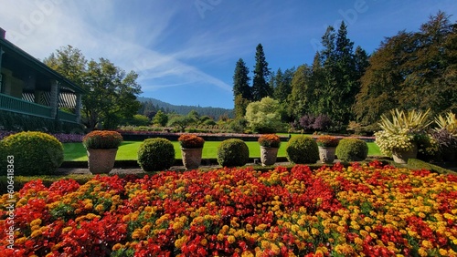 Gorgeous view of colorful flowers surrounded by thick bushes and trees in a sunny summer garden