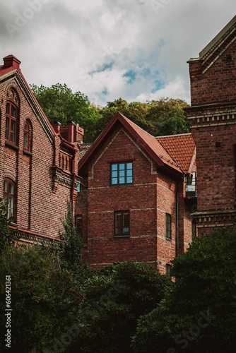 Vertical shot of residential brick houses surrounded by trees