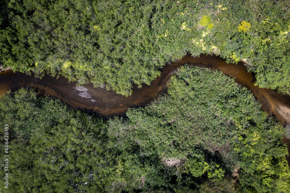 Φωτογραφία Aerial drone view of beautiful river and forest trees of mata atlantica biome in sunny summer day
