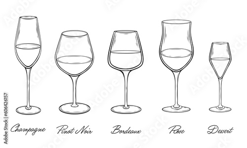 Set of wine glasses hand drawn vector illustration 