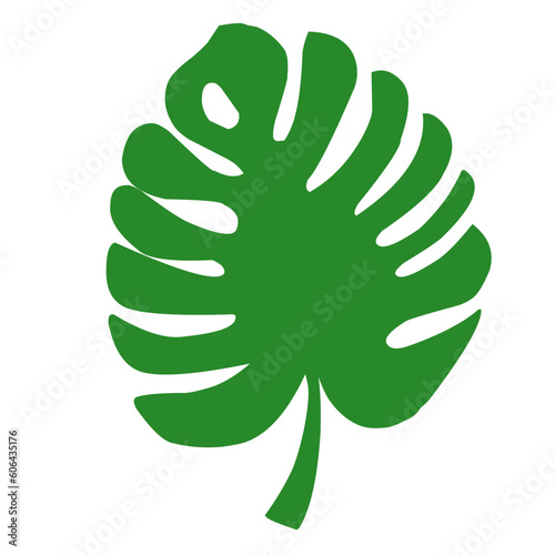 Green Palm Leaves Nature 
