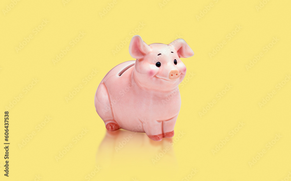 Sparschwein Sparschwein