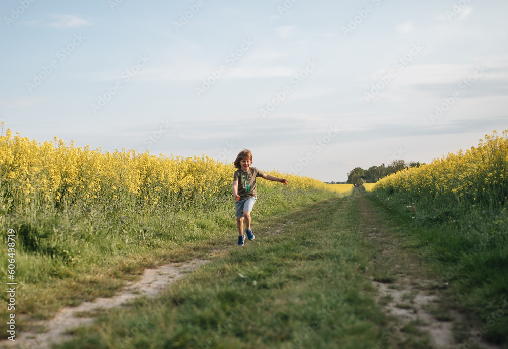 Child playing in the rapeseed field