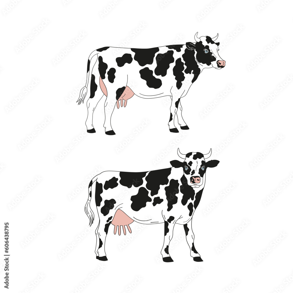 Milky cow hand drawn vector illustration isolated on white. Milky cow hand drawn vector illustration isolated on white.