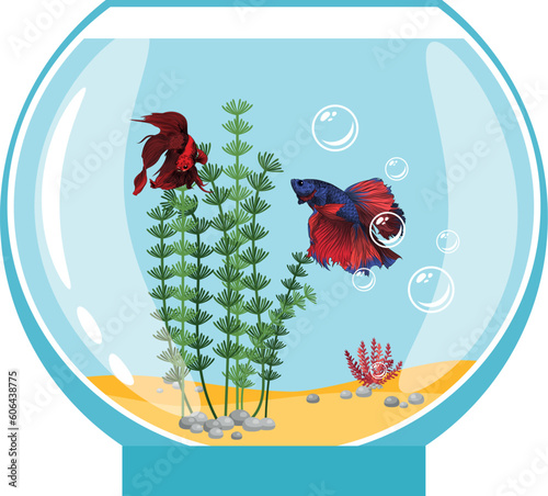 Cartoon fishes in aquarium. saltwater or freshwater fish tank illustration. water animal fighter fish