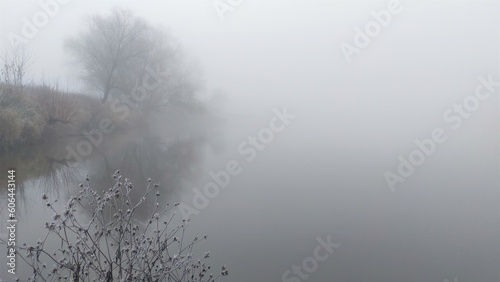 In late autumn, withered flowers, covered with frost, stand on the river bank. Everything is shrouded in mist. You can barely see the standing bushes and trees on the bank and their reflections