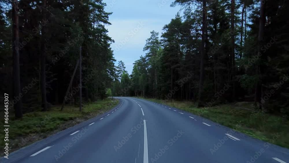POV: Driving on winding country road bordered by beautiful green deciduous trees and coniferous forests. Point of view motorcycle touring in swedish forest landscape. Real time 60 fps for slow motion