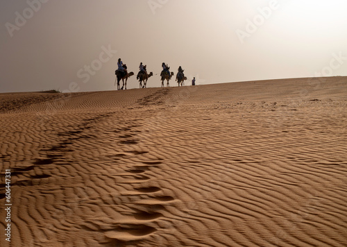 Paseo en camello por el Campamento en el Desierto de Lompoul, cerca de Saint Louis , SENEGAL al atardecer 