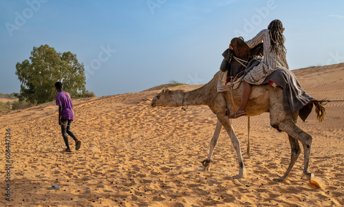 Paseo en camello por el Campamento  en el Desierto de Lompoul, cerca de Saint Louis , SENEGAL al atardecer
