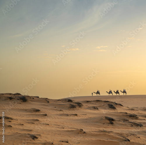 Paseo en camello por el Campamento  en el Desierto de Lompoul  cerca de Saint Louis   SENEGAL al atardecer 