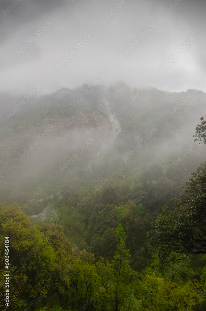 fog in the mountains