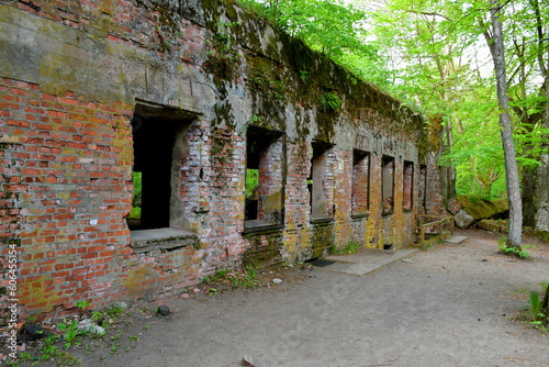 A close up on a damaged remnant of an old bomb shelter  bunker or other military structure from WWII covered with moss  shrubs  and other flora  spotted in the middle of a forest in Poland