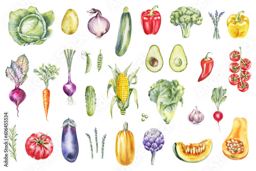 Watercolor vegetables illustration set: broccoli, eggplant, avocado, tomato, potato, cabbage, corn, pepper. Farm Healthy Food, Vegan