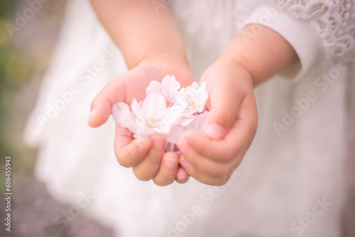 子供の手の中の桜の花