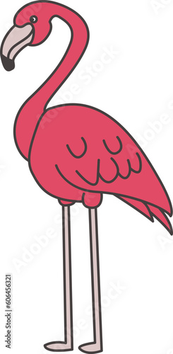 Flamingo em pé © Raquel